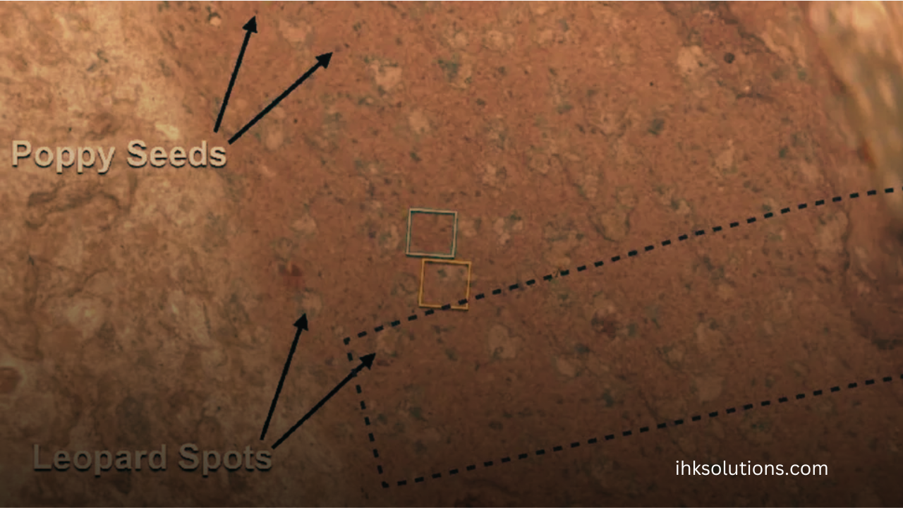 Mars May Indicate Ancient Microbial Life